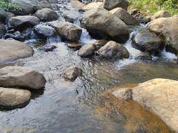 5 Night 6 Days Ooty  Tour Packages