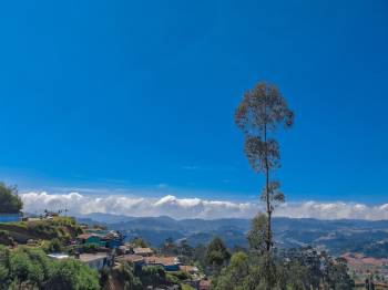 5 Night 6 Days Ooty  Tour Packages