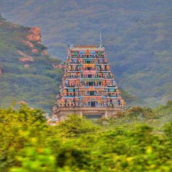 5 Night 6 Days Ooty  Tour Packages