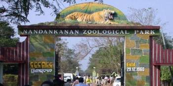 4 Night - 5 Days Odisha Tour Package