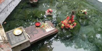 4 Night - 5 Days Odisha Tour Package