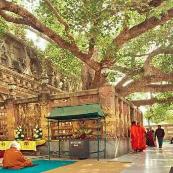 Buddhist Pilgrimage Itinerary 7 Day Tour