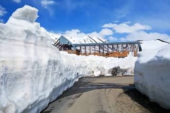 4N - 5D Himachal Pradesh Tour Manali