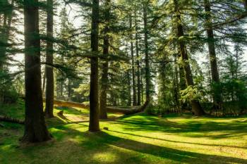 3 Nights 4 Days Dalhousie Khajjiar Tour Package from Delhi