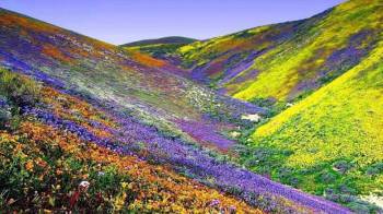 6 Nights / 7 Days Sikkim Tour Package – Gangtok 3N | Lachung 1N | Pelling 2N