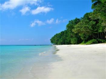 Escape To Paradise