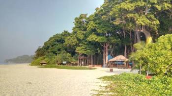 Baratang Island Tour Packages