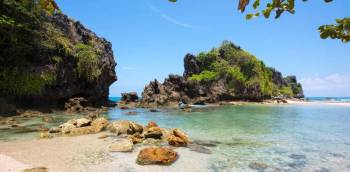 Neil Island Tour Packages