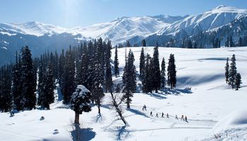 Srinagar - Gulmarg 3N 4D Tour Package