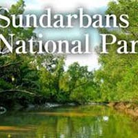 Sundarban Tour Package