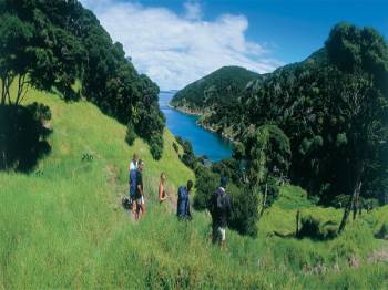 New Zealand Northern Escape Tour