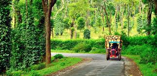05 Nights & 06 Days for Bangalore, Coorg, Ooty and Coimbatore Package