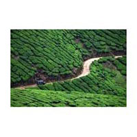 Hill Excursion of South India Tour