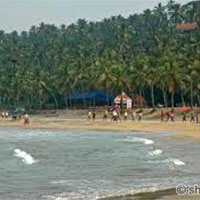 Kerala Dreams - Munnar - Thekkady - Kovalam Tour