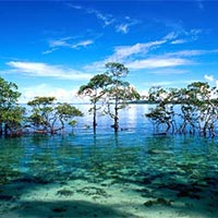Honeymoon Package - Escape to Andaman and Nicobar