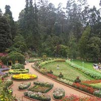 Enchanting Ooty Tour