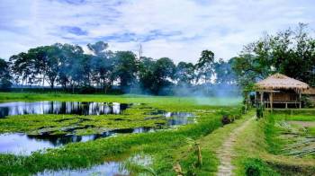 Packages in Kaziranga