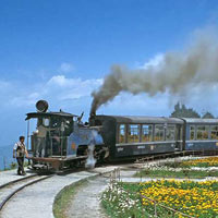 Darjeeling Tour Package