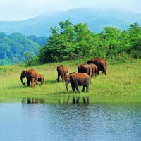 Kerala Tour Package