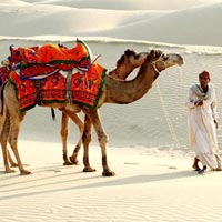 Heritage Camel Safari Tour