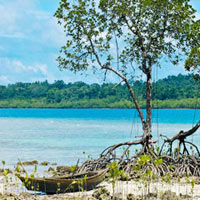Packages in South Andaman