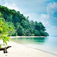 Packages in South Andaman