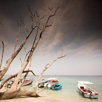 Packages in South Andaman