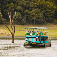Packages in Thekkady