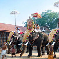 Appealing Kerala With Private Vehicle Tour (Flight Inclusive)