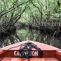 Packages in South Andaman