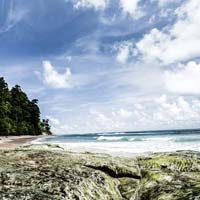 Packages in South Andaman