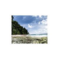 Packages in South Andaman