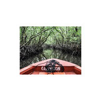 Packages in South Andaman