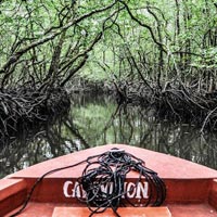 Packages in South Andaman
