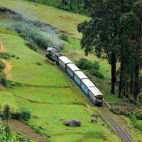 Ooty Ooty