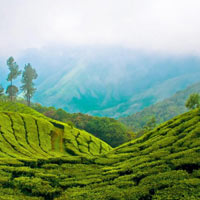 Kerala Tour Kerala Tour