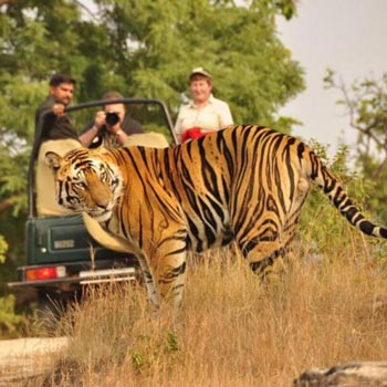 Corbett Nainital Tour Corbett Nainital Tour