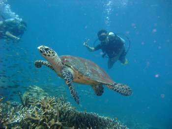 One Night Two Days Scuba Diving Package