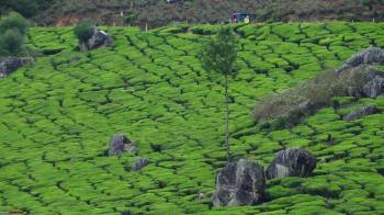 Getaway to Kerala Tour