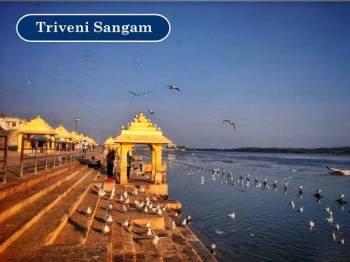 Sasan Tour Packages