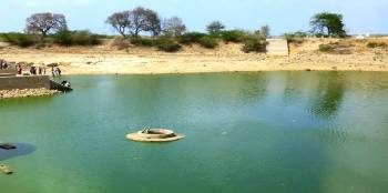 Sasan Tour Packages