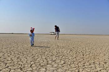 09N 10D Gujarat Tour Package From Vadodara With Statue of Unity- White Runn- Little Runn of Kutch