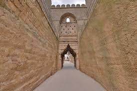 Sasan Tour Packages
