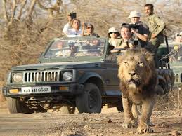 Escape to the Enchanting Coast Somnath Junagadh Sasan Gir and Diu Tour from Veraval Somnath