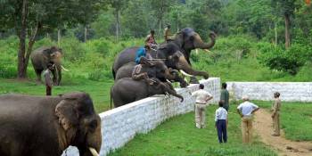 Mysore Coorg 3Days