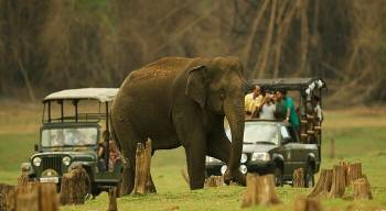 Coorg Tour Package 4 Days