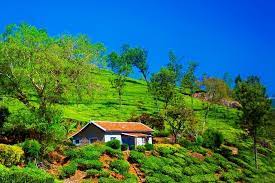 Mysore Ooty Tour Package 4 Days