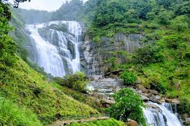 Mysore Coorg Wayanad Tour Package 6 Days