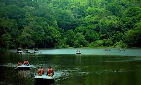 Mysore Coorg Wayanad Tour Package 6 Days