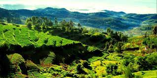 Mysore Wayanad Ooty Tour Package 6 Days